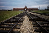Barstool Sports founder retracts Auschwitz tour offer to customer in antisemitic sign incident