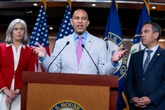 Democrats hold slim edge over Republicans in early 2026 midterm poll