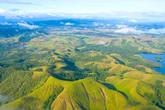 US tsunami verdict issued after earthquake strikes Papua New Guinea