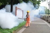 How China is fighting chikungunya virus after nearly 8,000 cases