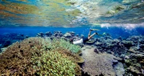 Trump Opens Marine National Monument to Commercial Fisheries