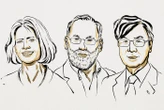 Nóng: Nobel Y sinh 2025 vinh danh 3 nhà miễn dịch học Mỹ - Nhật Bản