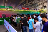 12.000 runner đổ về Đồng Tháp hòa nhịp thể thao, âm nhạc và sắc sen hồng