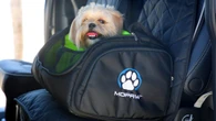 Stellantis Launches Mopaw, It’s Mopar For Pets