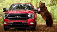 Ford Hired An 800-Pound Bear To Break Into Its New F-150