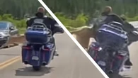 Harley Rider Hits Deer At Speed And Somehow Never Falls Off
