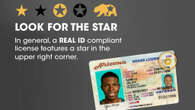 REAL ID Shaping Up To Be A Real Nightmare As Only 56% Of Driver’s Licenses Are Compliant