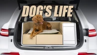 Genesis X Dog Module Pampers Your Pets Like Royalty