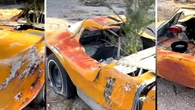 Backyard Relic With A Tree Growing Through It Had People Convinced It Was A Rare American Sports Car