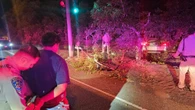 Two Muscle Cars Crashed Where A Memorial Already Warned What Could Happen