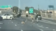 Toddlers Miraculously Survive Ejection In Jeep Rollover Crash