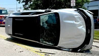 Bug Terrorizes Driver Causing Dramatic Car Flip