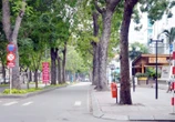 Đường Tôn Đức Thắng sau 6 năm chặt hàng cây cổ thụ