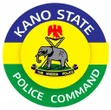345 in police net as Kano cracks down on crime
