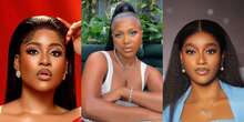 BBNaija: ‘Beauty more successful than Phyna’ – Wanni