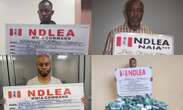 Businessman excretes 88 wraps of cocaine as NDLEA intercepts drugs in noodles at Lagos airport