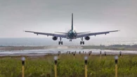 FOI: Coalition writes aviation ministry, demands explanation on alleged procurement breaches
