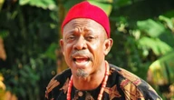 ‘I was forced into acting’ – Nkem Owoh