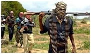 Argungu Emir advises communities to acquire weapons legally for self-defence against bandits