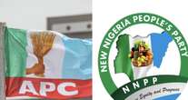 Kano crisis: Tension builds as APC dares NNPP, holds rally Saturday