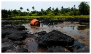 Microbiologists push microbial solutions for oil spills, food security