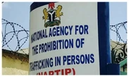 NAPTIP says 8 children allegedly abducted by officials in Asaba orphanage stolen from Kano