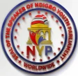 Igbo Day: Youth parliament urges southeast governors to tackle insecurity