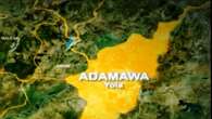 Middle-aged man hangs himself in Adamawa