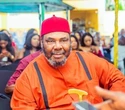 Igbo men, not good politicians – Pete Edochie claims