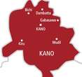 Kano govt orders verification of March salary before payment