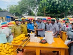 Ogun Customs hands over seized cannabis sativa, guns, to NDLEA, police