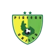 NPFL: Plateau United appoints new head coach, sporting director