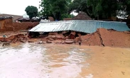 Windstorm destroys 209 houses in Yobe