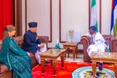 Tinubu receives Egypt, Greece, Pakistani envoys