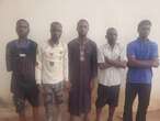 5 gangsters on wanted list arrested in Adamawa
