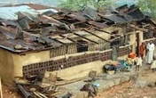 Windstorm destroys houses in Kano  local govt 