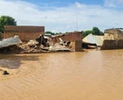 Flood sacks hundreds, submerges residential areas in Yobe [Photos]