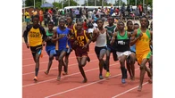 Northeast Basic Education School Sports competition begins in Yola