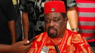 Igbos abroad remit $60b to Nigeria every year – Diaspora leader, Dr Anakwenze