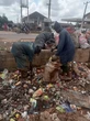 Ogun Govt sanctions 128 residents, companies for indiscriminate waste disposal