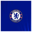 Transfer: Chelsea remove nine senior players from squad for new season [Full list]
