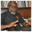 Security reform, not more weapons, key to ending insurgency – Retired Gen Ishola Williams