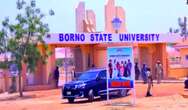 Borno State University gets new VC