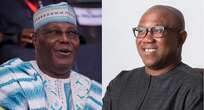 Presidential election: ‘Why I didn’t step down, work with Atiku’ – Peter Obi