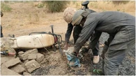 Troops kill 2 bandits, recover 22 rustled cows in Kaduna