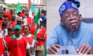BREAKING: Minimum Wage impasse: NLC, TUC in crucial meeting with Tinubu