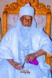 Bauchi Emirate appoints Gov Bala’s elder brother as council member