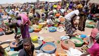 Kano government vows to prosecutes traders adulterating grains at Dawanau market