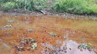 Group alerts NOSDRA, SHELL of oil spill in Obololi community in Bayelsa