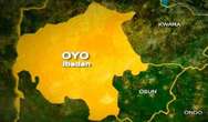 Farmer, herder hospitalised after engaging in physical combat in Oyo